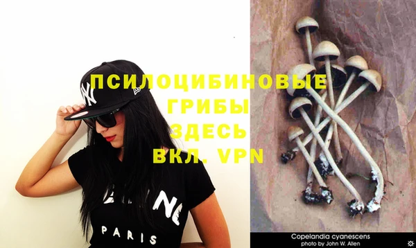 мескалин Покачи