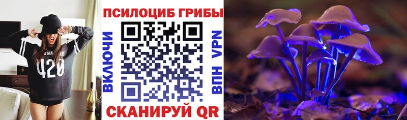 Купить закладки  Усмань  Псилоцибиновые грибы Cubensis 
